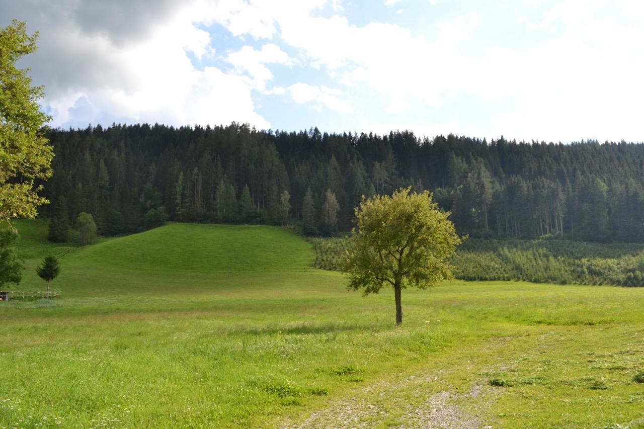 Ferienwohnung Ertlerhof Ranten Luaran gambar